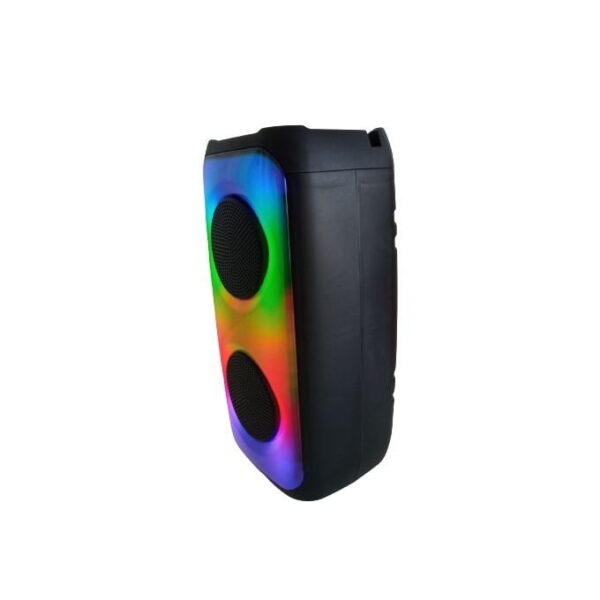 Dunth HAUT PARLEUR DUNTH DU-SP107 2200W