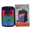 HAUT PARLEUR DU-SP108 DUNTH 3000W