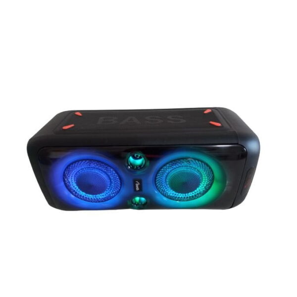 Dunth HAUT PARLEUR DUNTH DU-SP111 5000W