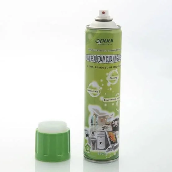 6087.jpg MOUSSE NETTOYANTE 650ML