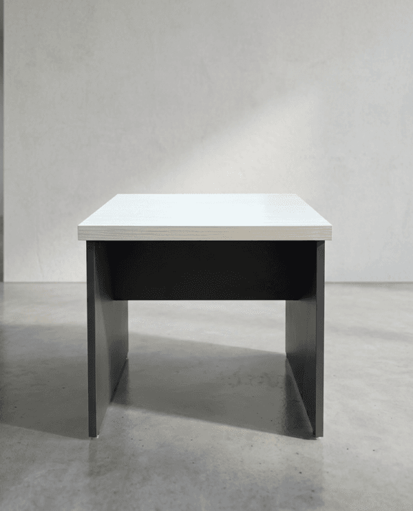 Table Basse Design Professionnel – Style Élégant & Utilisation Polyvalente