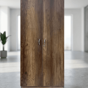 Gemini_Generated_Image_ciqyagciqyagciqy Armoire de Bureau 2 Portes – Grande Capacité & Design Professionnel